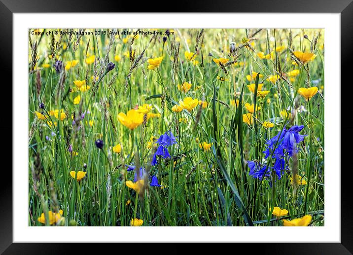  Buttercup Meadow Framed Mounted Print by John Vaughan