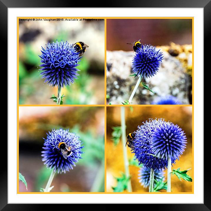  Look through my window and what will you bee Framed Mounted Print by John Vaughan