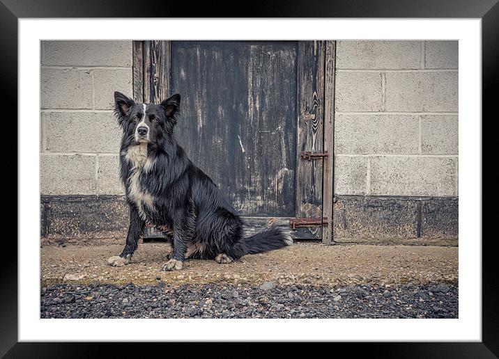  Home on the farm Framed Mounted Print by Chris Paul