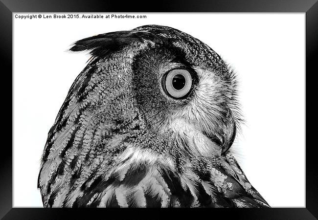 Eurasian Eagle Owl Framed Print by Len Brook