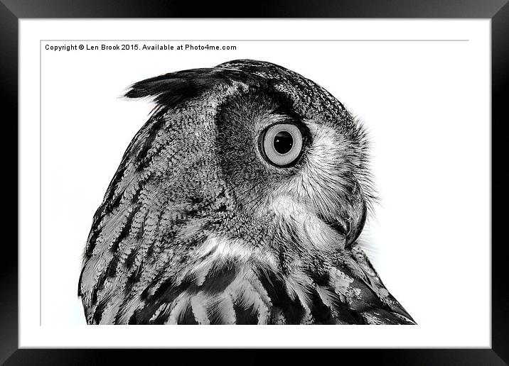 Eurasian Eagle Owl Framed Mounted Print by Len Brook