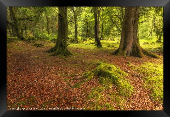 The Ardgartan Forest Framed Print by Len Brook