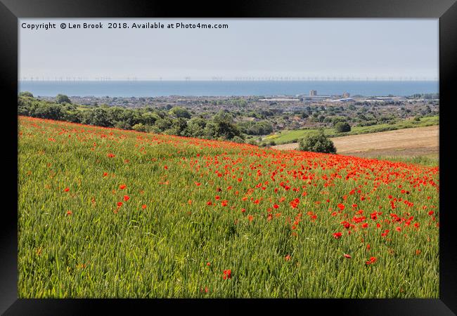 Poppies and the Sea Framed Print by Len Brook
