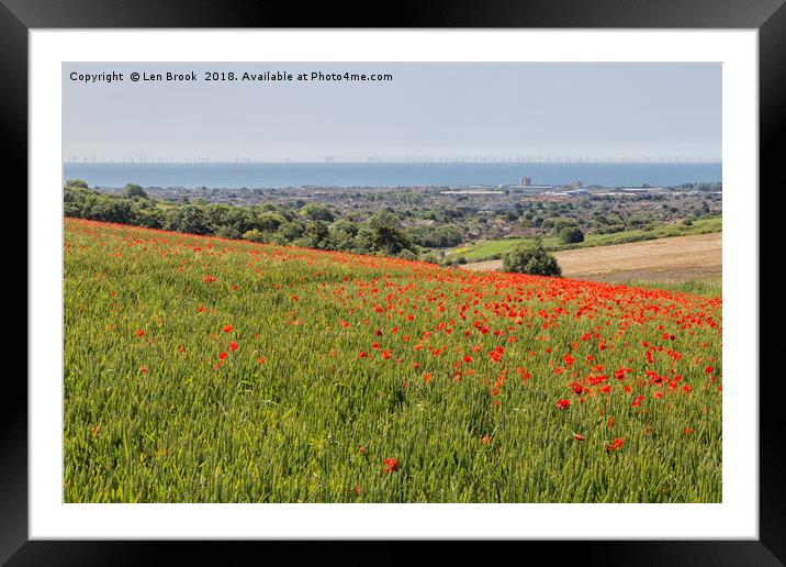 Poppies and the Sea Framed Mounted Print by Len Brook
