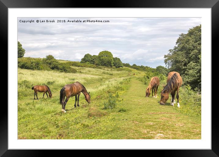 Cissbury Ring Ponies Framed Mounted Print by Len Brook