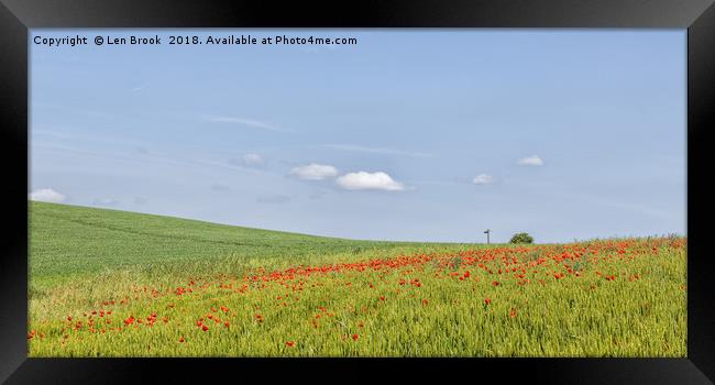 Poppy Fields of North Lancing Framed Print by Len Brook