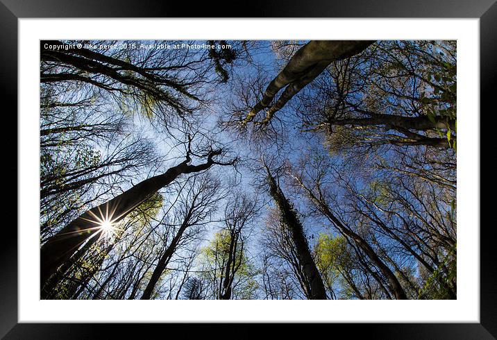  through the treetops  Framed Mounted Print by luke perez