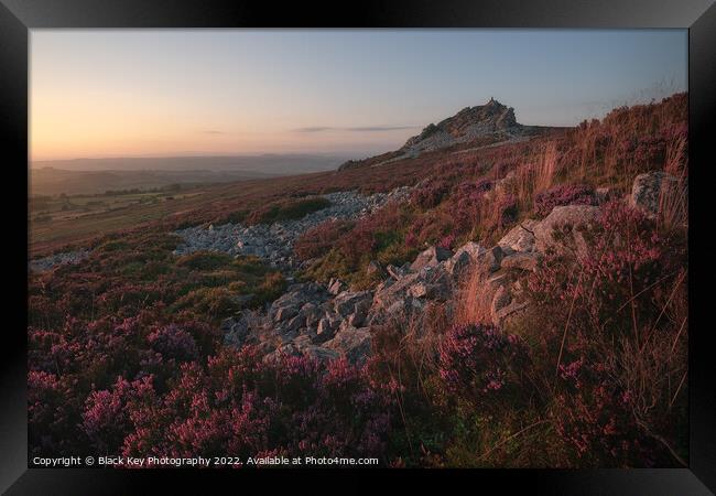 Stiperstones Heather Framed Print by Black Key Photography