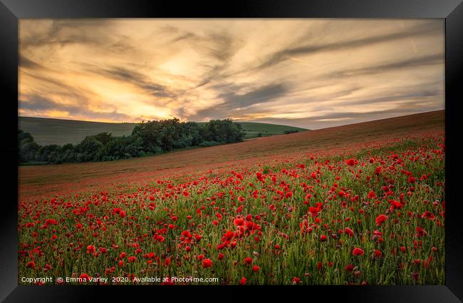 Poppy field sunset Framed Print by Emma Varley