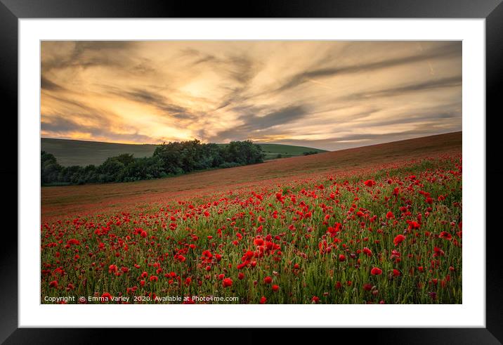 Poppy field sunset Framed Mounted Print by Emma Varley