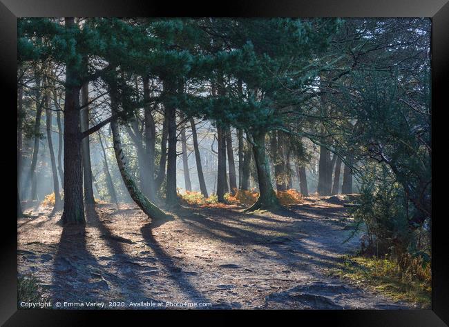 Winter morning at Sullington Warren Framed Print by Emma Varley