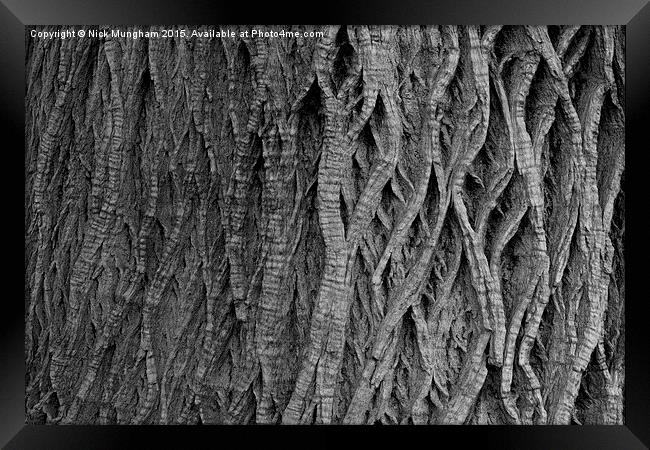  Tree Bark Framed Print by Nick Mungham