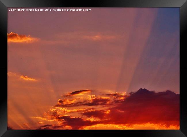  Sunrays in the sunset Framed Print by Teresa Moore