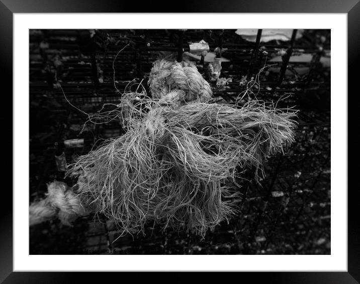                                I'm a frayed knot.. Framed Mounted Print by Teresa Moore