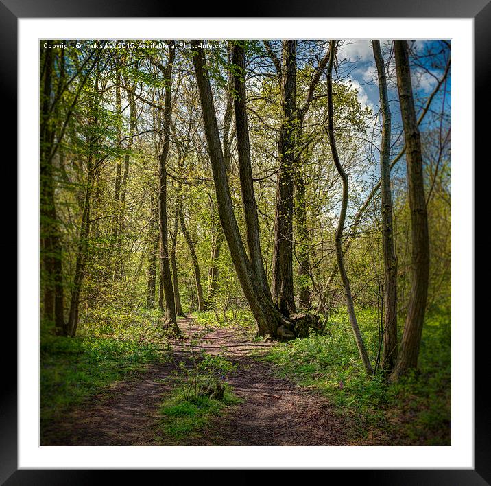  Ranscombe Wood Path Framed Mounted Print by mark sykes
