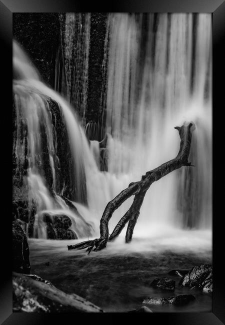 Branch perched on Alva glen waterfall Framed Print by Jade Scott