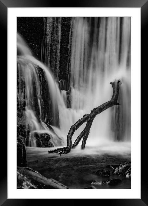 Branch perched on Alva glen waterfall Framed Mounted Print by Jade Scott
