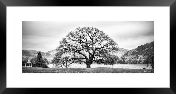  The tree at the Inn on The Lake , Ullswater Framed Mounted Print by Rob Medway