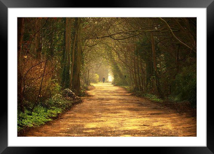  A quiet country lane in the North West of England Framed Mounted Print by Rob Medway