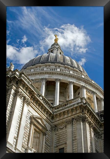 St Paul's cathedral Framed Print by tim miller
