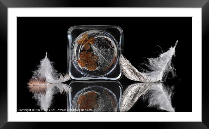  Feathers Reflected on glass Framed Mounted Print by tim miller