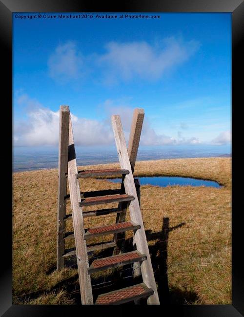  Stile Framed Print by Claire Merchant