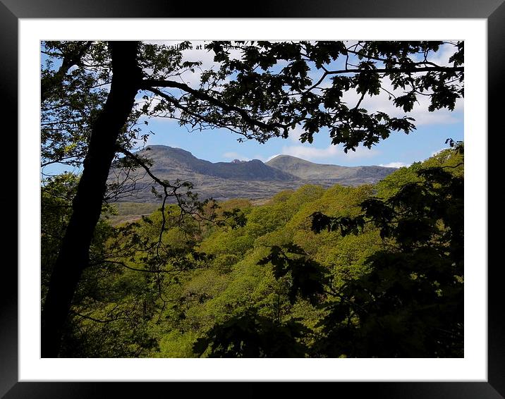  Moelwyn Framed Mounted Print by Claire Merchant