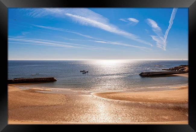 Cullercoats Bay  Framed Print by Naylor's Photography
