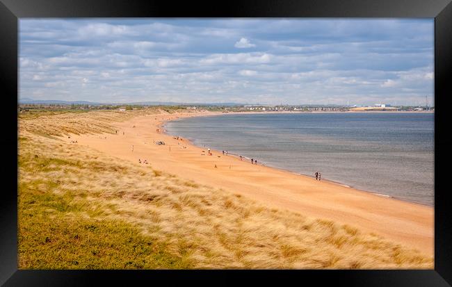 Seaton Sluice Beach Framed Print by Naylor's Photography