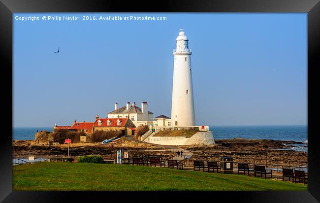  St Marys Island and Lighthouse  Framed Print by Naylor's Photography