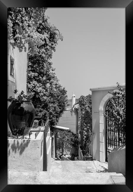 Pathway to Paradise in B&W............ Framed Print by Naylor's Photography