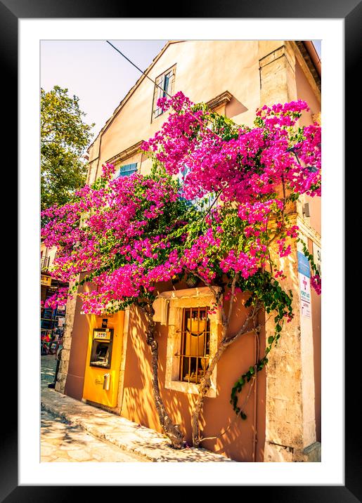 Prettiest cash machine in town Framed Mounted Print by Naylor's Photography