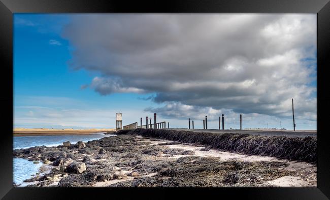 Taking Refuge on Lindisfarne Framed Print by Naylor's Photography
