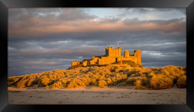 Bamburgh Castle from the beach at Easter Framed Print by Naylor's Photography