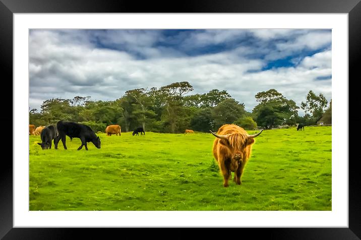 You looking at me ? Framed Mounted Print by Naylor's Photography