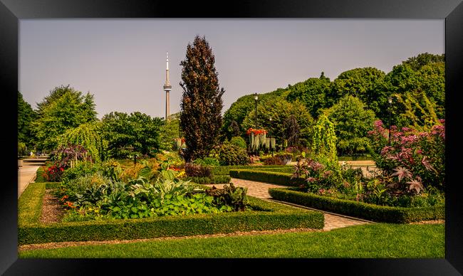  Gardens of the Toronto Islands  Framed Print by Naylor's Photography