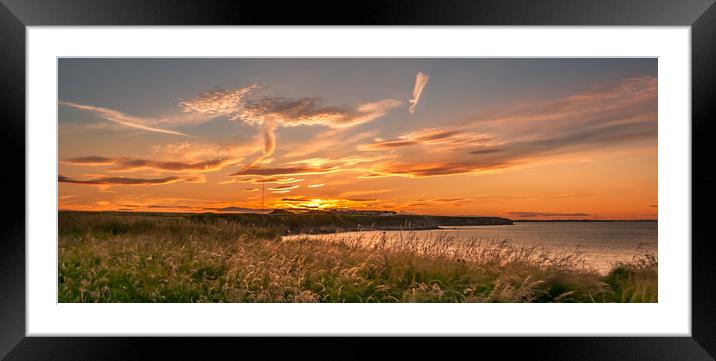Our Beautiful Coast Framed Mounted Print by Naylor's Photography