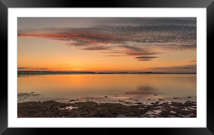Northumberland Beauty Framed Mounted Print by Naylor's Photography