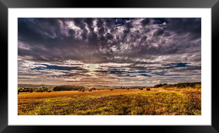 Fields of Plenty Framed Mounted Print by Naylor's Photography