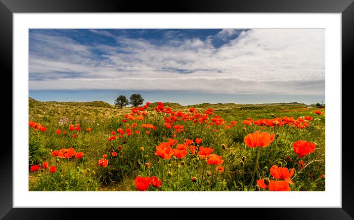 Poppies of Bamburgh Framed Mounted Print by Naylor's Photography