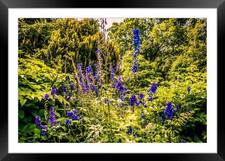 Flowers of Howick Hall Framed Mounted Print by Naylor's Photography