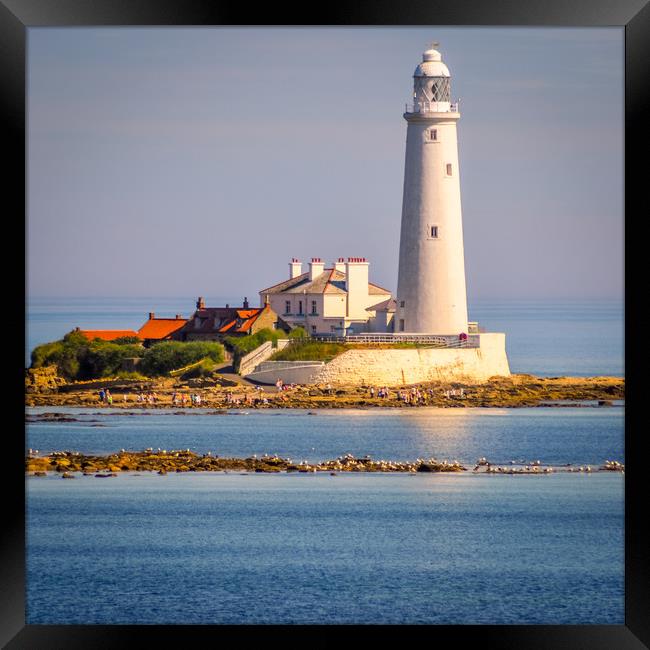 Stunning St Mary's Lighthouse Framed Print by Naylor's Photography