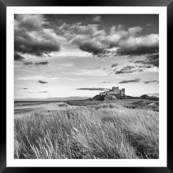 Mighty and Proud in Mono Framed Mounted Print by Naylor's Photography