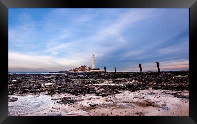 St. Mary's Lighthouse in Whitley Bay Framed Print by Naylor's Photography