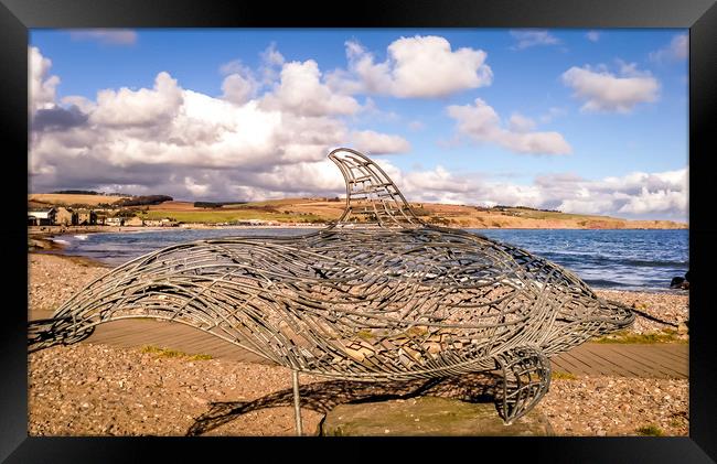 The Stonehaven Dolphin Framed Print by Naylor's Photography