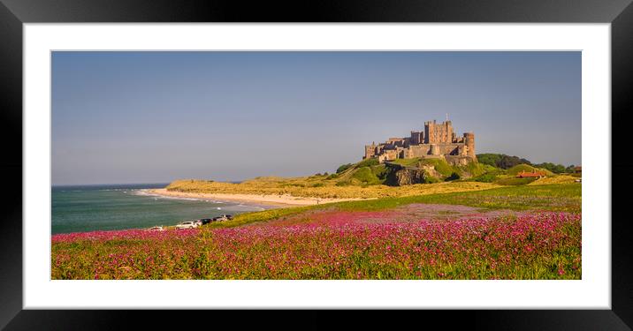 Bamburgh Castle Campion fields Framed Mounted Print by Naylor's Photography