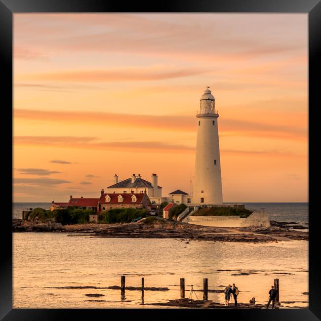 Rich red sunset St Mary's lighthouse Framed Print by Naylor's Photography