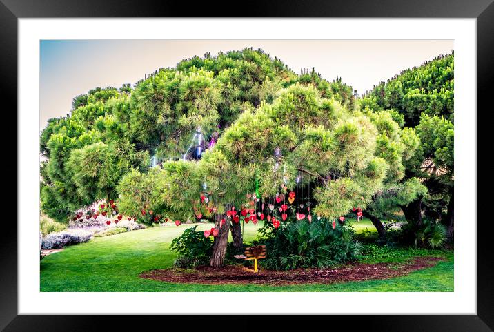 The Love Tree Framed Mounted Print by Naylor's Photography