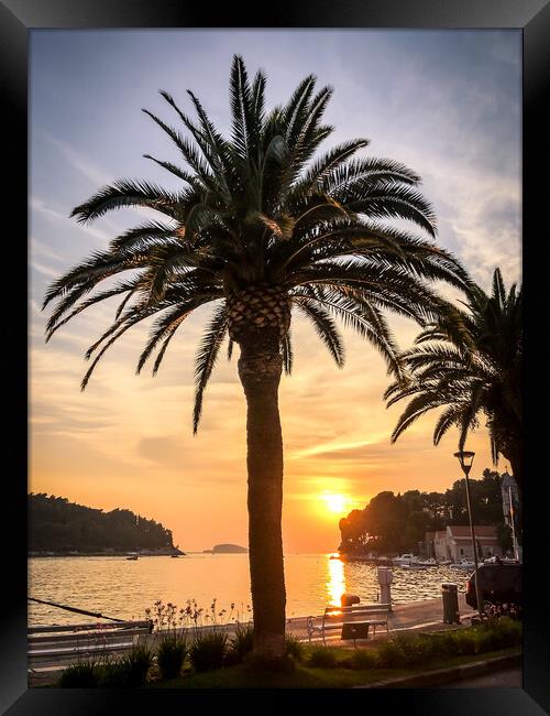 Summer nights in Cavtat Framed Print by Naylor's Photography