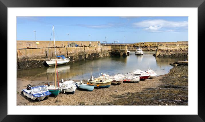 St. Abbs Harbour  Framed Mounted Print by Naylor's Photography
